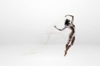 Elusive II