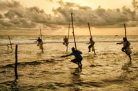 Stlit Fisherman