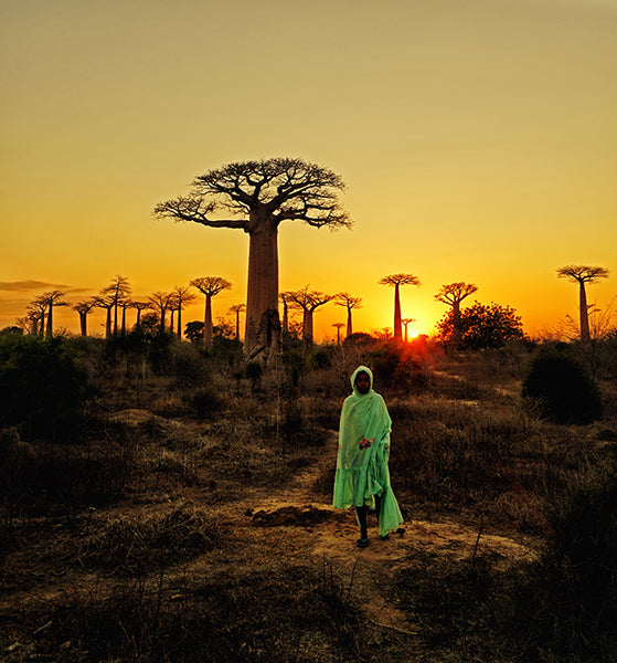 Sunset in Madagascar